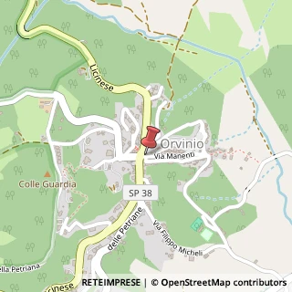 Mappa Via Manenti, 3, 02035 Orvinio, Rieti (Lazio)