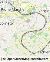 Autotrasporti Macerata,62100Macerata