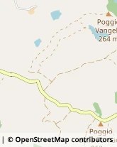 Via Logge del Papa, 2,53100Siena