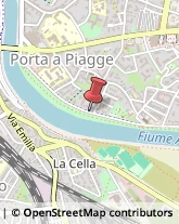 Viale delle Piagge, 12,56124Pisa