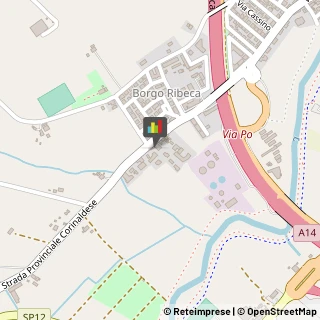 Frutta e Verdura - Dettaglio,60019Ancona