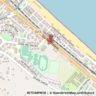 Mappa Strada Statale 16 Adriatica, 210, 60019 Senigallia, Ancona (Marche)