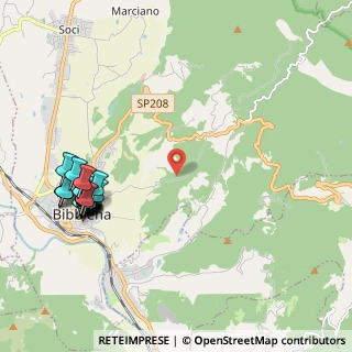 Mappa Loc.case sparse, 52011 Bibbiena AR, Italia (2.652)