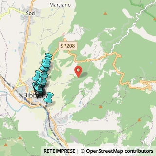 Mappa Loc.case sparse, 52011 Bibbiena AR, Italia (2.405)