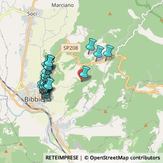Mappa Loc.case sparse, 52011 Bibbiena AR, Italia (2.00286)