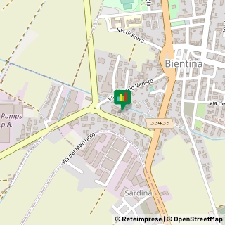 Via Jacopo del Polta, 20, 56031 Bientina PI, ,56031Bientina