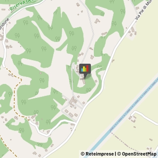 Bed e Breakfast Santa Maria a Monte,56020Pisa