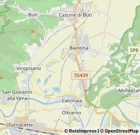 Mappa 56025 Bientina PI, Italia (2.436)
