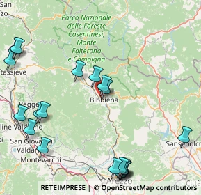 Mappa Località Palazzetto, 52011 Bibbiena AR, Italia (22.5485)