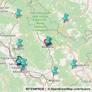 Mappa Località Palazzetto, 52011 Bibbiena AR, Italia (20.84733)
