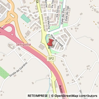 Mappa Strada provinciale s. angelo, 60010 Senigallia, Ancona (Marche)