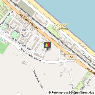 Fisiokinesiterapia - Medici Specialisti Senigallia,60019Ancona