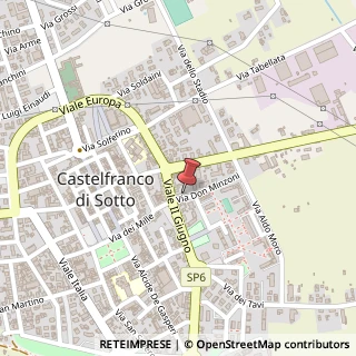Mappa Via Don Giovanni Minzoni, 13, 56022 Castelfranco di Sotto, Pisa (Toscana)
