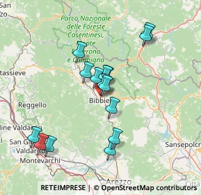 Mappa Via Palazzetto, 52011 Bibbiena AR, Italia (13.25733)