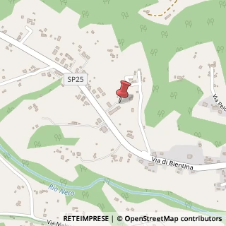 Mappa Via di Bientina, 270, 56020 Santa Maria a Monte, Pisa (Toscana)