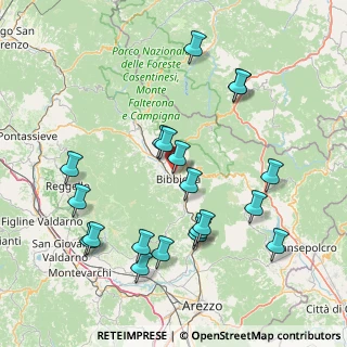 Mappa Loc ferrantina, 52011 Bibbiena AR, Italia (17.217)