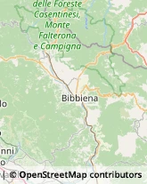 Abbigliamento Pratovecchio Stia,52015Arezzo