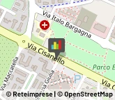 Oculisti - Medici Specialisti,56124Pisa