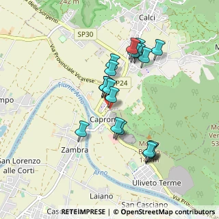 Mappa Località Caprona, 56011 Calci PI, Italia (0.819)