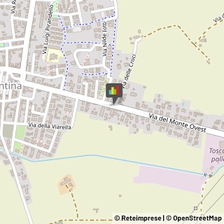 Bar e Caffetterie,56031Pisa