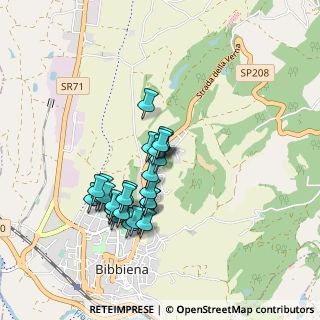 Mappa Via della Verna, 52011 Bibbiena AR, Italia (0.79259)