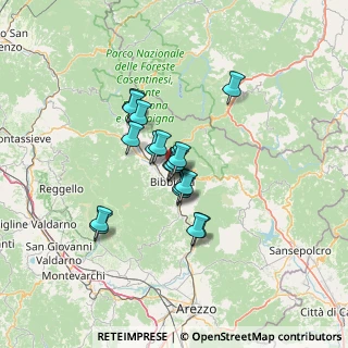 Mappa Via della Verna, 52011 Bibbiena AR, Italia (9.71944)