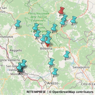 Mappa SP 208 della Verna, 52011 Bibbiena AR, Italia (19.168)