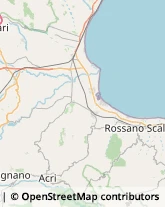 Borse - Dettaglio Rossano,87067Cosenza