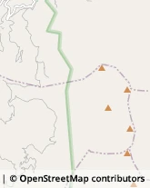 Comuni e Servizi Comunali Belvedere Marittimo,87021Cosenza