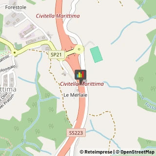 Ristoranti,58045Grosseto