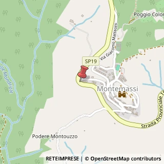 Mappa Strada Provinciale Montemassi, 1, 58036 Roccastrada GR, Italia, 58027 Roccastrada, Grosseto (Toscana)