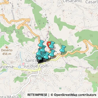 Mappa Via Nastro Verde, 80061 Massa Lubrense NA, Italia (0.33793)