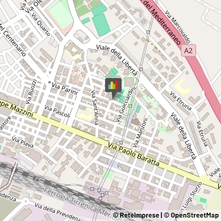 Imbalsamatori,84091Salerno