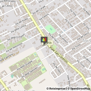 Sellerie e Tappezzerie Veicoli - Riparazione e Lavorazione Ardea,00040Roma