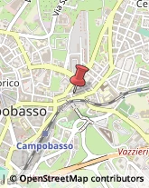 Via Francesco Crispi, 15,86100Campobasso