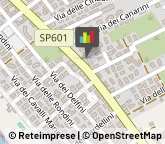 Palestre e Centri Fitness,00040Roma