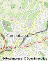 Consulenza Commerciale Campobasso,86100Campobasso