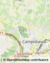 Locali, Birrerie e Pub Campobasso,86100Campobasso