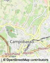 Farmacie Campobasso,86100Campobasso