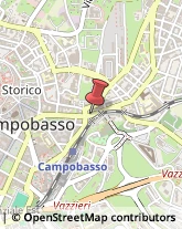 Corso Giuseppe Mazzini, 94,86100Campobasso