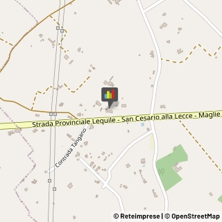 Feste - Organizzazione e Servizi,73020Lecce