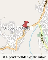 Zona Industriale, Lotto 4/5,08020Orotelli