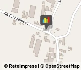 Consulenza di Direzione ed Organizzazione Aziendale Casale di Scodosia,35040Padova