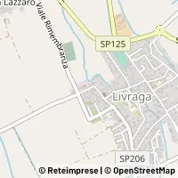 Map Livraga