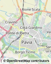 Sartorie Pavia,27100Pavia