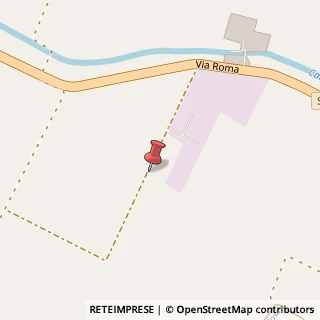 Mappa Via Roma, 127, 46033 Castel d'Ario, Mantova (Lombardia)