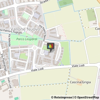 Carte da Gioco Pavia,27100Pavia