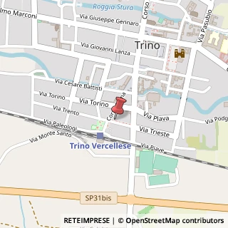 Mappa Via Vittorio Veneto, 2, 13039 Trino, Vercelli (Piemonte)