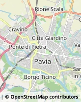 Associazioni di Volontariato e di Solidarietà Pavia,27100Pavia