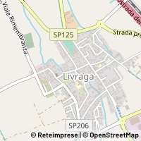 Kart Livraga